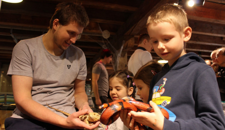 VÍKEND PODLE DRBNY: Přespěte v divadle, zúčastněte se soutěže o nejlepší jitrnici nebo poznejte svět plazů