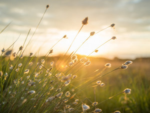 POČASÍ NA ÚTERÝ: Povane vítr a bude oblačno až polojasno