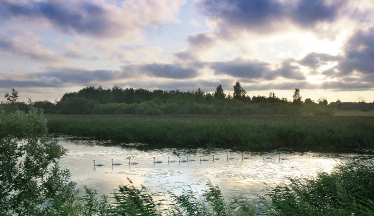 POČASÍ NA ČTVRTEK: Dnes se dočkáme skoro jasné až polojasné oblohy