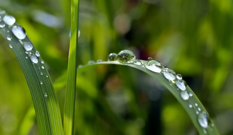 POČASÍ NA PÁTEK: Během dne zaprší, ve vyšších polohách zasněží