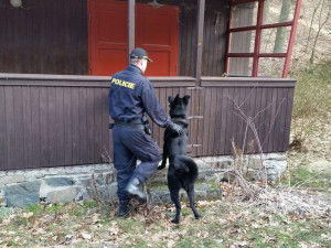 V zimě lákají opuštěné chaty zloděje i lidi bez domova. Na Šternbersku proběhla kontrolní policejní akce