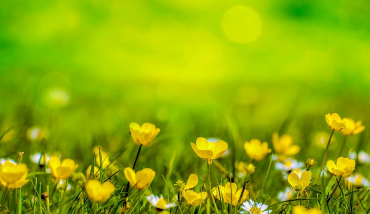 POČASÍ NA ČTVRTEK: Dnes se teplota vyšplhá až k osmnácti stupňům