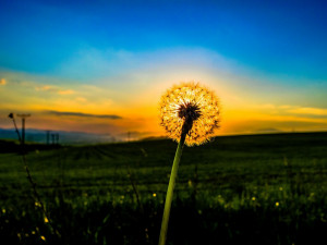 POČASÍ NA STŘEDU: Dnes se oteplí a bude polojasno