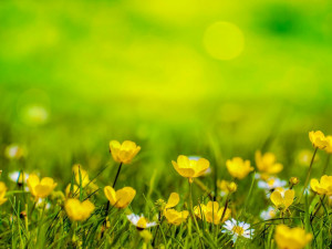 POČASÍ NA ČTVRTEK: Dnes se teplota vyšplhá až k osmnácti stupňům