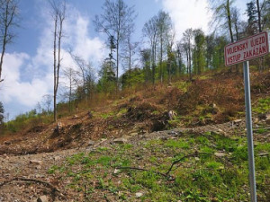 Libavá se 1. května opět otevře cyklistům i turistům