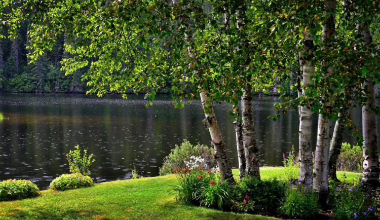 POČASÍ NA ČTVRTEK: Místy povane nárazový vítr, bude zataženo a zaprší