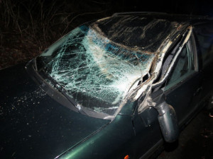 Strom spadl na projíždějící auto. Poškodil střechu a rozbil přední sklo