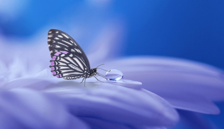 POČASÍ NA SOBOTU: Na začátku víkendu povane čestvý vítr a bude pršet