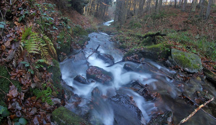 Dnes je Světový den vody. Poukazuje na nešetrné zacházení s vodními zdroji a nedostatek vody v rozvojových zemích