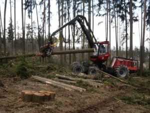 VIDEO: Odstraňování škod v olomoucké zoo bude trvat několik měsíců