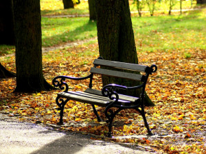 Někdo ukradl lavičky v Nemilanech. Způsobil škodu za patnáct tisíc korun