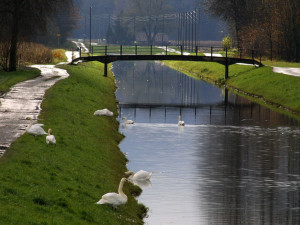 POČASÍ NA SOBOTU: Dnes bude skoro jasno a teploty kolem sedmnácti stupňů