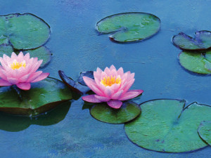 Dokument o Monetovi odstartuje cyklus Umění v kině Metropol