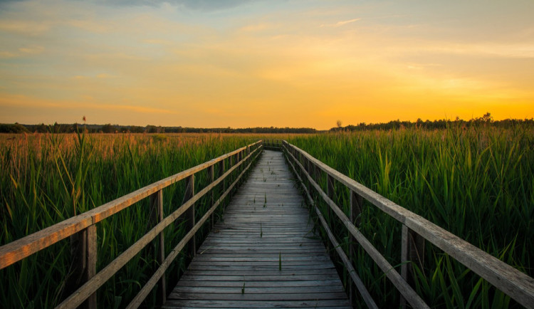 POČASÍ NA ÚTERÝ: Teploty se budou pohybovat kolem osmnácti stupňů a bude jasno