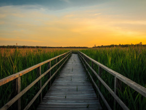 POČASÍ NA ÚTERÝ: Teploty se budou pohybovat kolem osmnácti stupňů a bude jasno