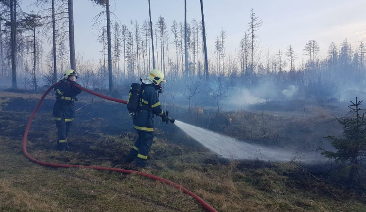 AKTUÁLNĚ: Hasiči zasahují u rozsáhlého lesního požáru v Potštátu. Vyhlášen byl III. stupeň