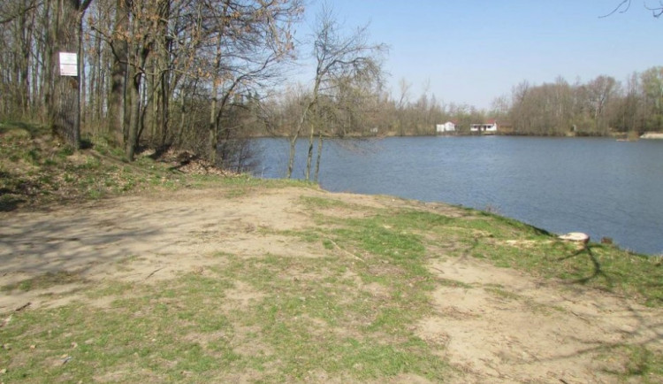 Policie pátrá po pachateli, který u rybníka na Olomoucku zabil labuť