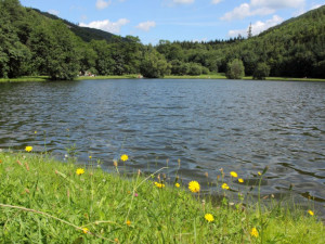 Šternberk zvelebí oblíbené oblasti okolo rybníka v Dolním Žlebu