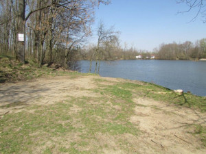 Policie pátrá po pachateli, který u rybníka na Olomoucku zabil labuť