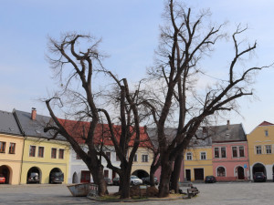 Na Horním náměstí v Přerově zkoumají archeologové studnu. Zatím narazili na zákopové desky a mince