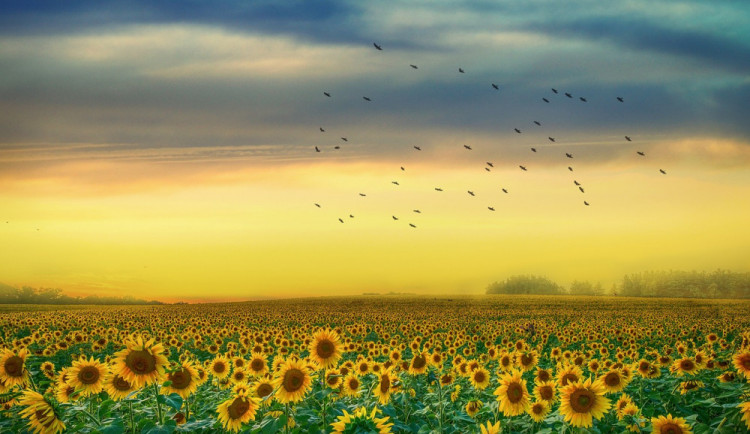 POČASÍ NA PONDĚLÍ: Dnes bude jasno a teploty dosáhnou až devatenácti stupňů