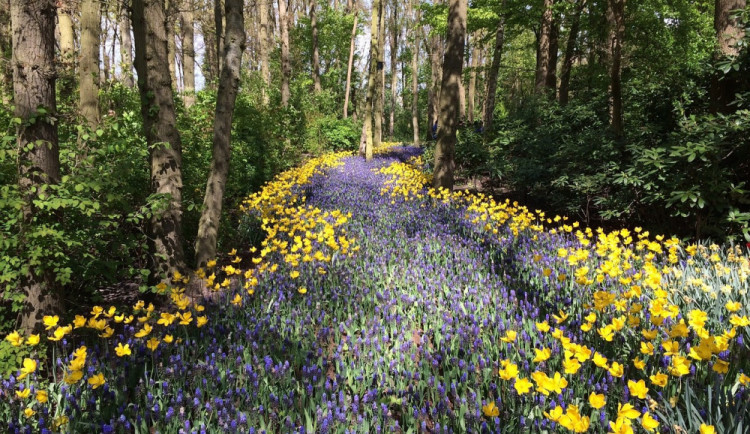 POČASÍ NA ÚTERÝ: Během dne bude polojasno, povane vítr