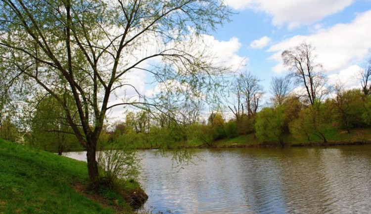 Rybníky v Předmostí se dočkají revitalizace. Řešit se má i ochrana proti bobrům, zpevnění břehů a odbahnění