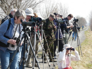 Zájemci o pozorování ptactva se mohou zúčastnit první jarní ornitologické exkurze