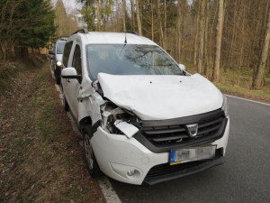 Přibývá střetů aut s lesní zvěří. Včera řidiči vběhla do cesty srna, na místě uhynula