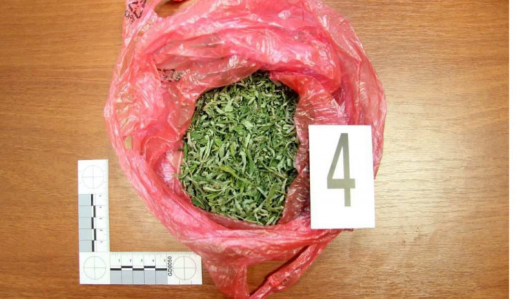 FOTO: Přerovští policisté zadrželi dealera drog. Našli u něj pervitin a marihuanu