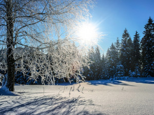 Sluncem zalité sjezdovky na Ovčárně byly o víkendu plné lyžařů