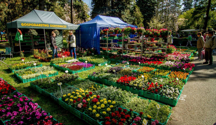 VÍKEND PODLE DRBNY: Zajděte na výstavu květin, ochutnejte tvarůžkové dobroty a zhlédněte zajímavé snímky