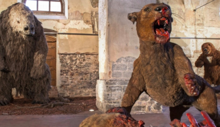 Vlastivědné muzeum v Olomouci obsadili giganti doby ledové