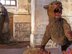 Vlastivědné muzeum v Olomouci obsadili giganti doby ledové