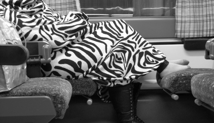 Spící ženu ve vlaku okradl během jízdy zloděj. V ukradeném batohu měla tablet, stravenky a několik tisíc