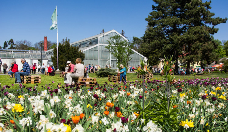 Jarní Flora je minulostí. Přilákala přes 65 tisíc návštěvníků