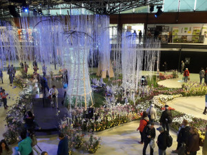 FOTO/VIDEO: Jarní Flora okouzlila desítky tisíc návštěvníků