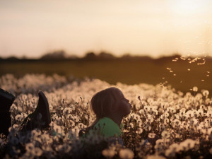 POČASÍ NA ÚTERÝ: Teploty kolem patnácti stupňů a oblačno až zataženo, takové bude úterý