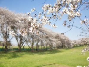 POČASÍ NA STŘEDU: První květnový den bude ve znamení polojasné oblohy, místy zaprší