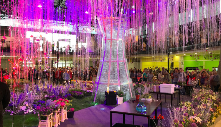 POLITICKÁ KORIDA: Jak se líbil zastupitelům letošní ročník jarní Flory? Co říkají na nepopulární průchodky?