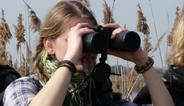 Vítání ptačího zpěvu proběhne i na Hradeckém rybníku v Tovačově