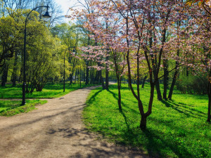 POČASÍ NA ÚTERÝ: Dnes bude polojasno, během dne přeháňky