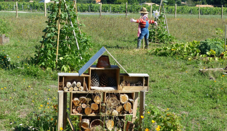 Tři mateřské školy v Prostějově budou mít nové zahrady. Cílem je zlepšení vztahu dětí k přírodě