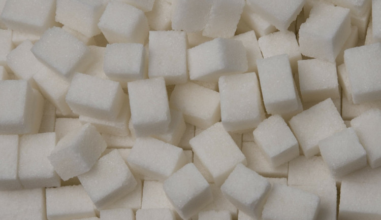 Čtyřicet kilo cukru a motorovou pilu si odnesl zloděj z maringotky, do které se vloupal