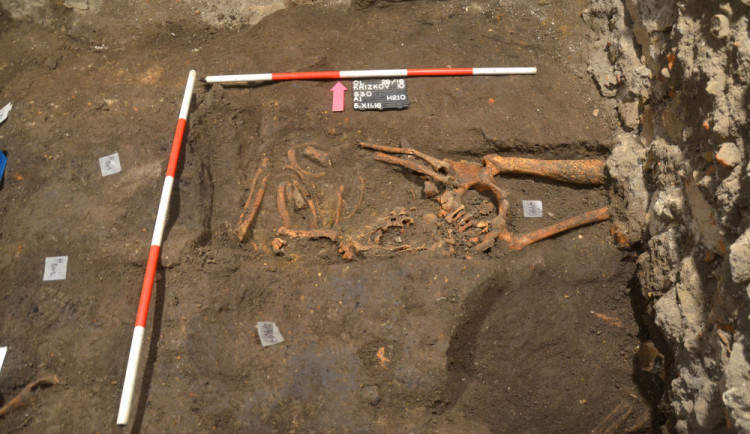 Stopy po syfilisu našli archeologové v hrobě na nádvoří fakulty. Nakažený žil s infekcí v těle pravděpodobně až 20 let