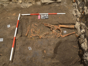 Stopy po syfilisu našli archeologové v hrobě na nádvoří fakulty. Nakažený žil s infekcí v těle pravděpodobně až 20 let