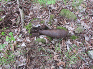 Muž našel pomocí detektoru kovu v lese minu z druhé světové války, na místo musel pyrotechnik