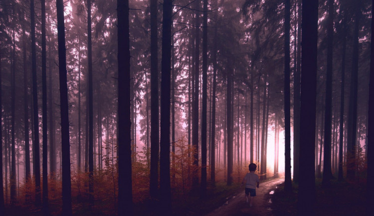 Čtyřletý chlapec odešel po obědě z domu. Pátraly po něm desítky policistů, policejní psi i vrtulník