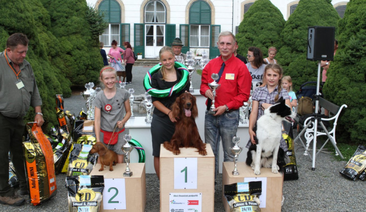 Oblastní výstava psů všech plemen odstartuje v sobotu na zámku v Náměšti. Připraven je bohatý doprovodný program