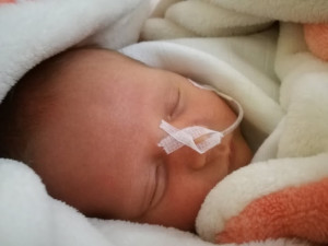 Ve šternberské nemocnici nově zajišťují péči o předčasně narozené děti